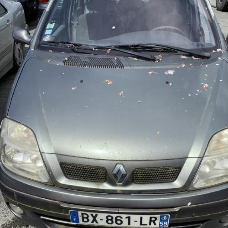 Vitre arriere gauche RENAULT SCENIC 1 Photo n°4