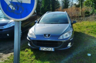 Arret de porte avant gauche PEUGEOT 407