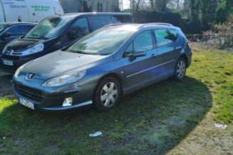 Arret de porte avant gauche PEUGEOT 407