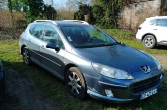 Arret de porte avant gauche PEUGEOT 407