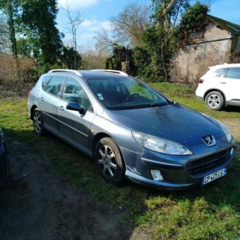 Arret de porte avant gauche PEUGEOT 407 Photo n°6