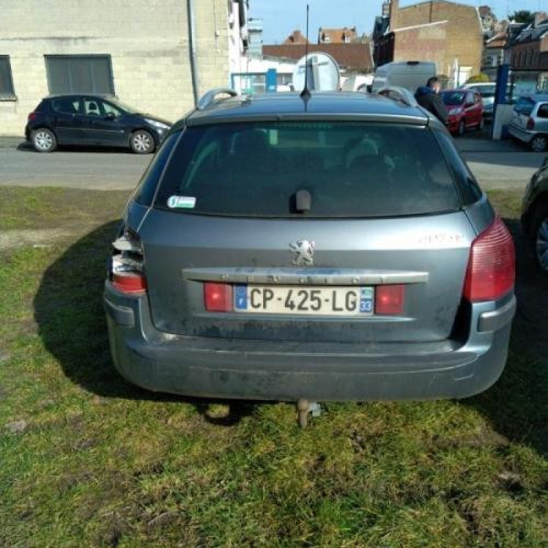 Arret de porte avant gauche PEUGEOT 407 Photo n°7