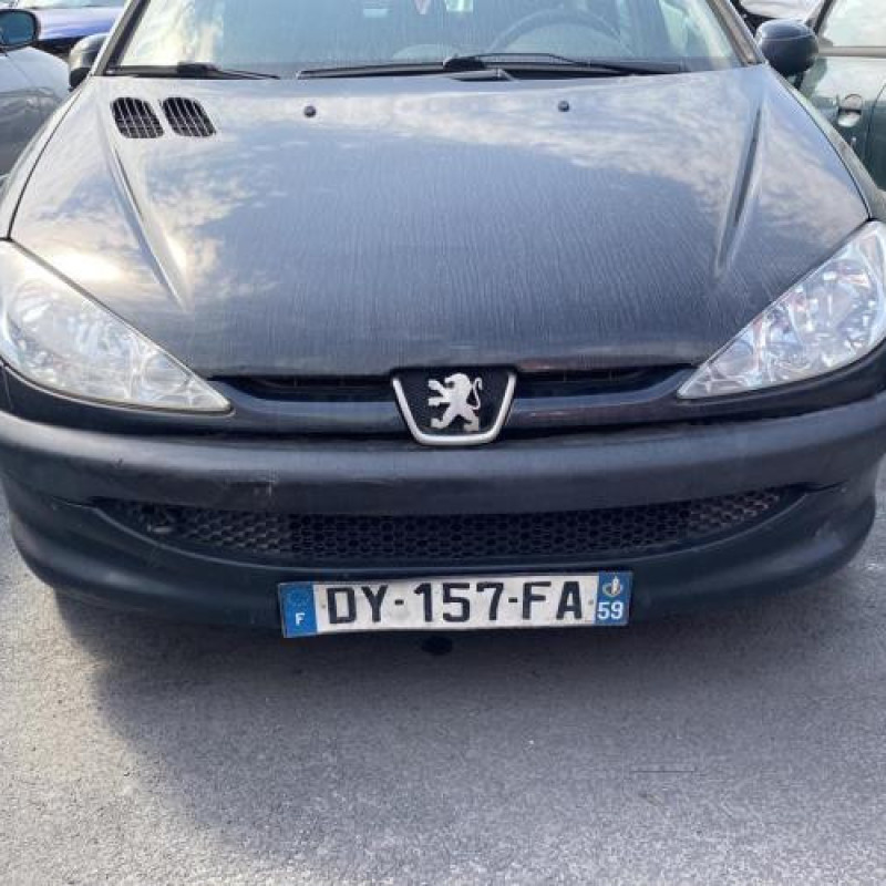 Porte avant droit PEUGEOT 206 Photo n°6