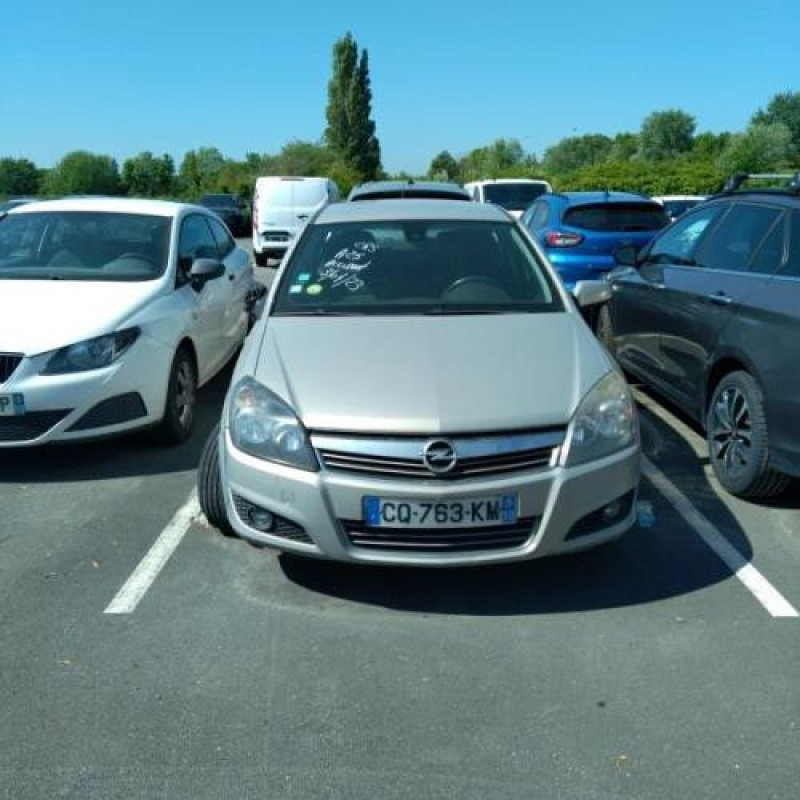 Porte arriere gauche OPEL ASTRA H Photo n°6