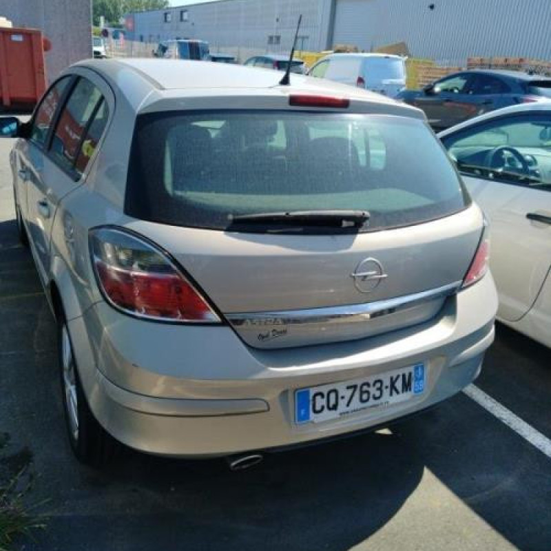 Porte arriere gauche OPEL ASTRA H Photo n°9