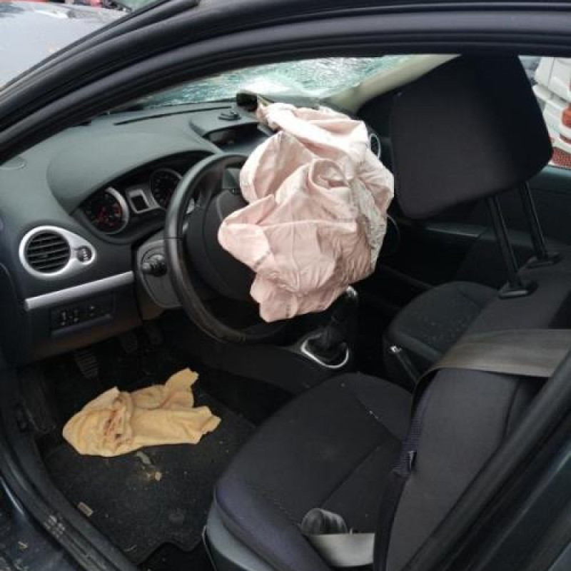 Poignee interieur arriere droit RENAULT CLIO 3 Photo n°9