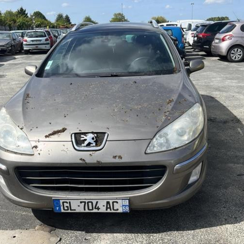 Custode arriere droit PEUGEOT 407 Photo n°4