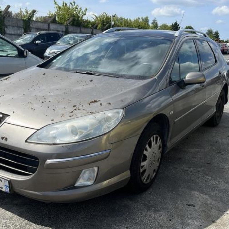 Custode arriere droit PEUGEOT 407 Photo n°5