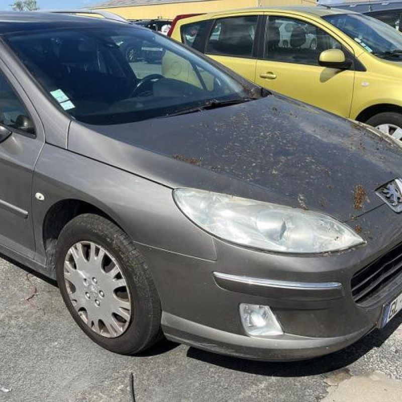 Custode arriere droit PEUGEOT 407 Photo n°6