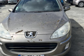 Arret de porte avant gauche PEUGEOT 407