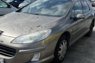 Arret de porte avant gauche PEUGEOT 407