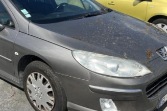 Arret de porte avant gauche PEUGEOT 407