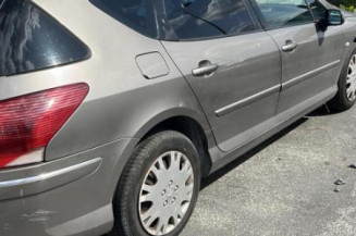 Arret de porte avant gauche PEUGEOT 407