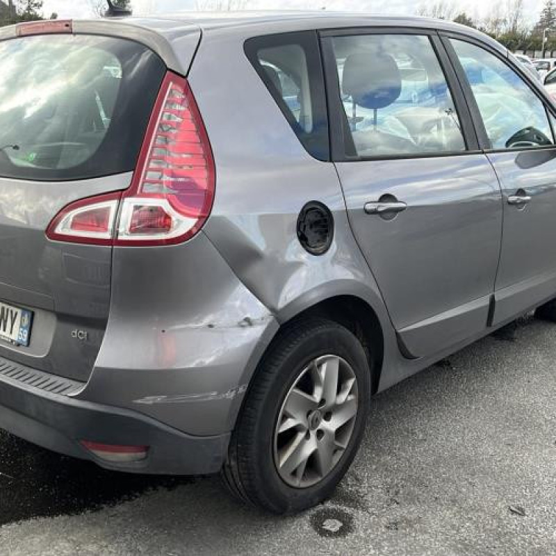 Custode avant gauche (porte) RENAULT SCENIC 3 Photo n°7