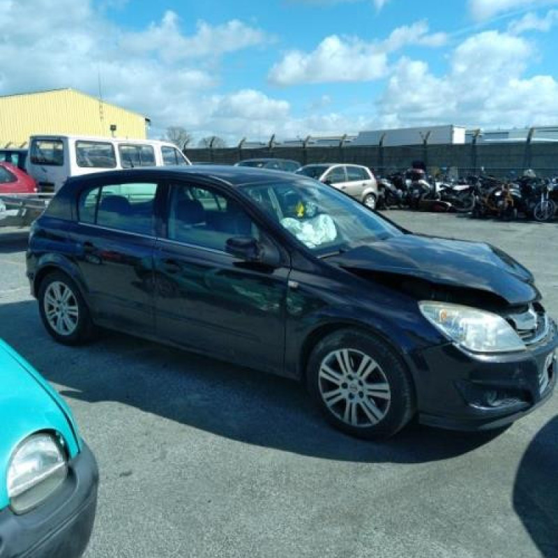 Custode arriere gauche (porte) OPEL ASTRA H Photo n°5