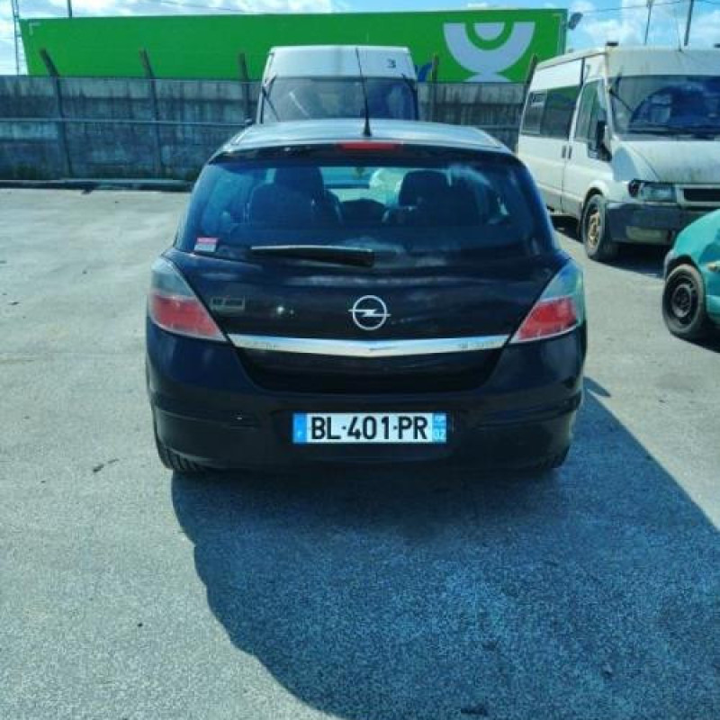 Custode arriere gauche (porte) OPEL ASTRA H Photo n°6