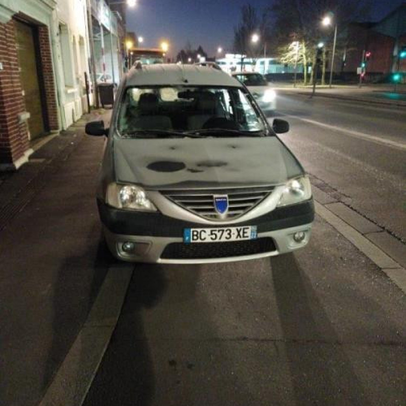 Custode arriere gauche DACIA LOGAN MCV 1 Photo n°5