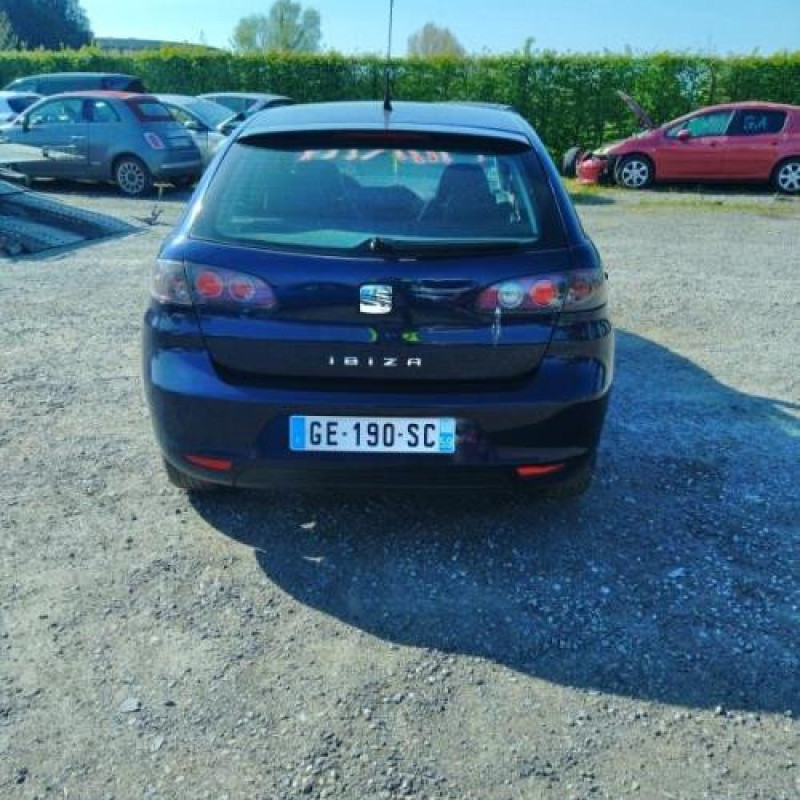 Porte arriere gauche SEAT IBIZA 3 Photo n°8