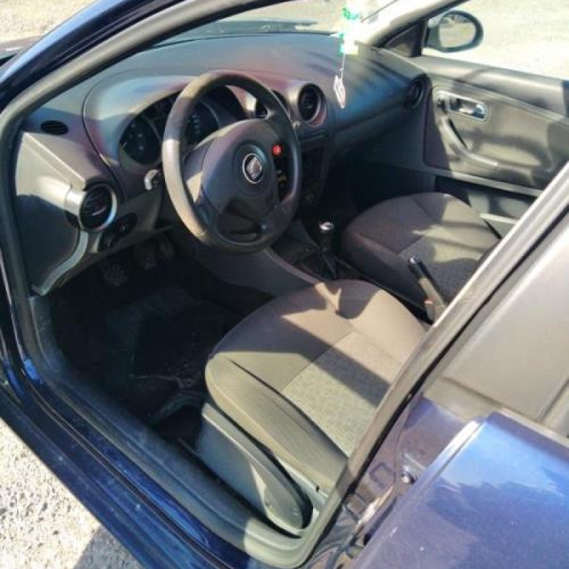 Porte arriere gauche SEAT IBIZA 3 Photo n°11