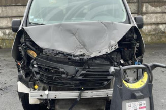 Baguette de porte avant gauche RENAULT TRAFIC 3