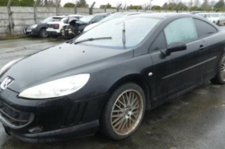 Porte avant gauche PEUGEOT 407