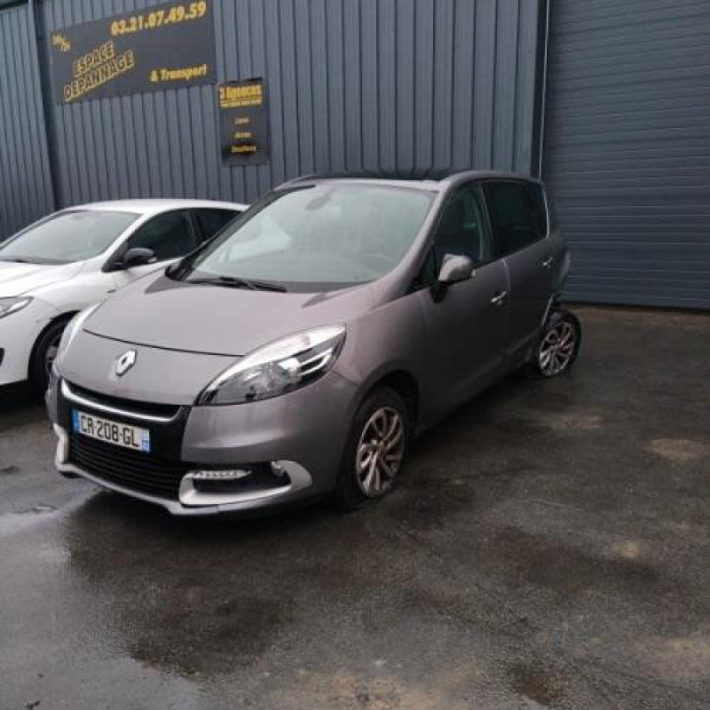 Custode arriere droit RENAULT SCENIC 3 Photo n°6