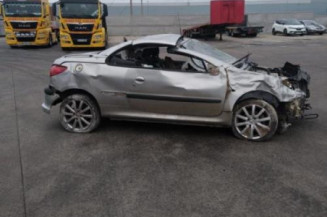 Anti brouillard arriere PEUGEOT 206