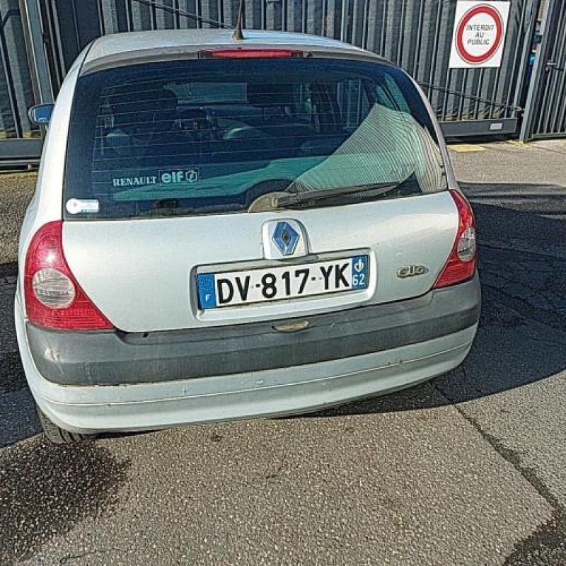 Porte avant gauche RENAULT CLIO 2 Photo n°13