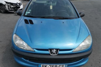 Porte arriere droit PEUGEOT 206