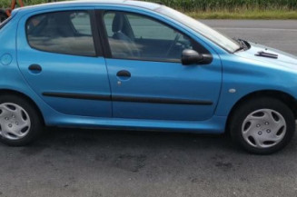 Porte arriere droit PEUGEOT 206