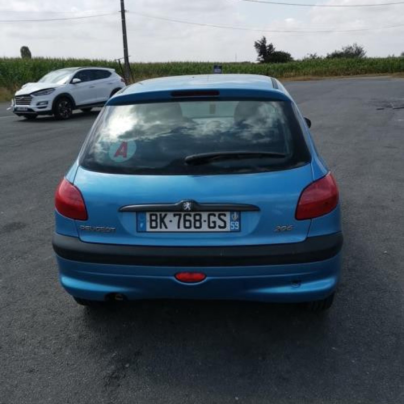 Porte arriere droit PEUGEOT 206 Photo n°8