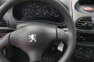 Porte arriere droit PEUGEOT 206