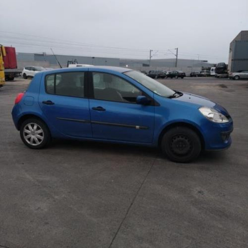 Porte arriere droit RENAULT CLIO 3 Photo n°8