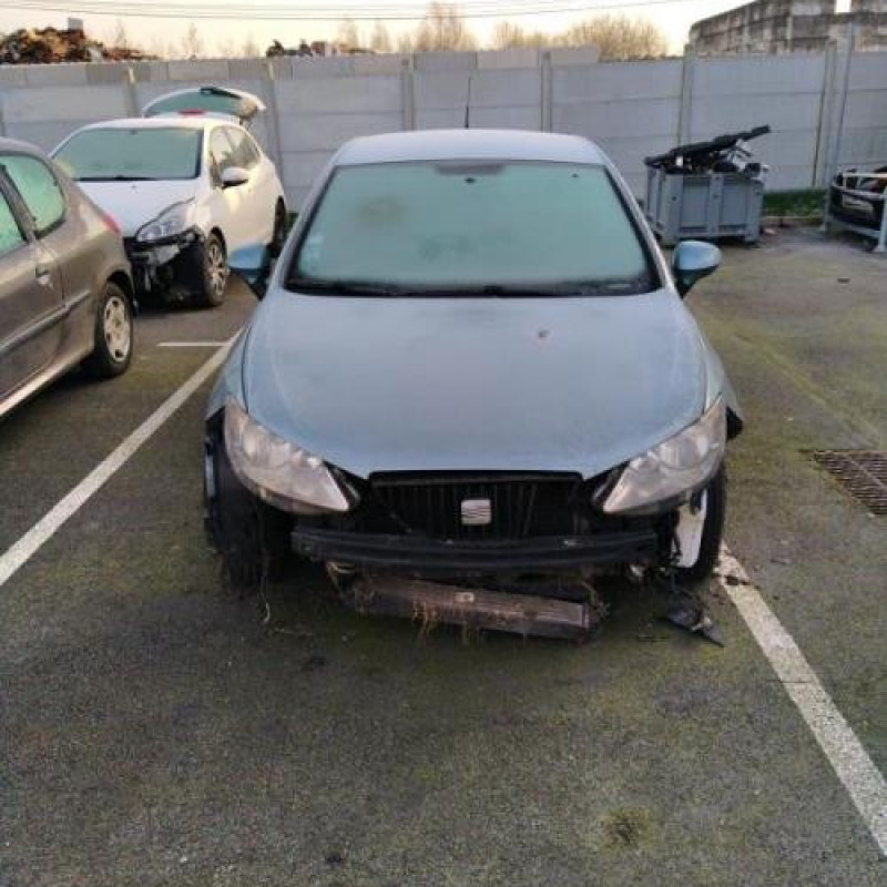 Porte arriere gauche SEAT IBIZA 4 Photo n°7