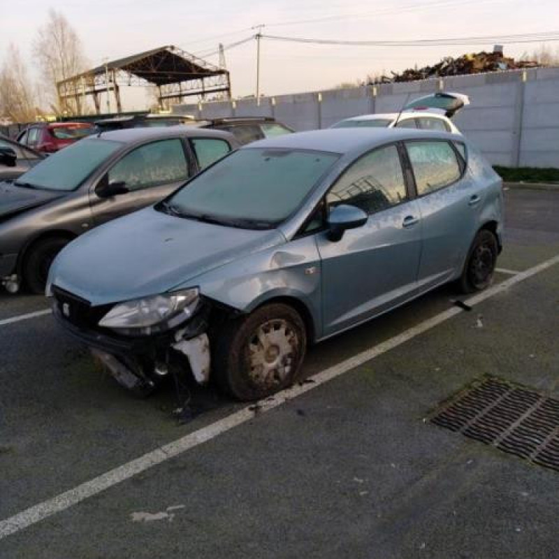 Porte arriere gauche SEAT IBIZA 4 Photo n°9