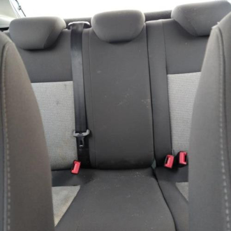 Porte arriere gauche SEAT IBIZA 4 Photo n°13