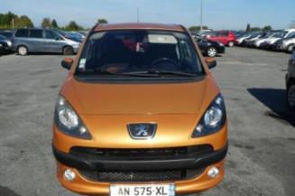 Calandre PEUGEOT 1007