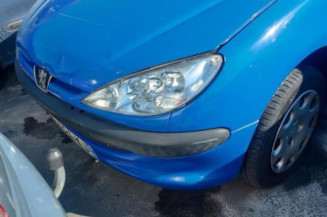 Poignee porte avant gauche PEUGEOT 206