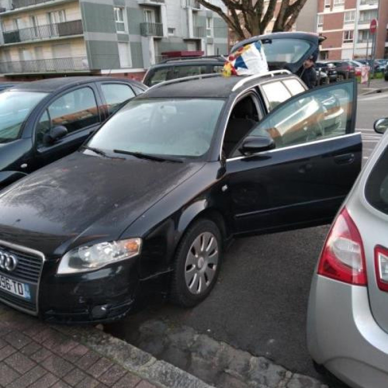 Malle/Hayon arriere AUDI A4 2 Photo n°10