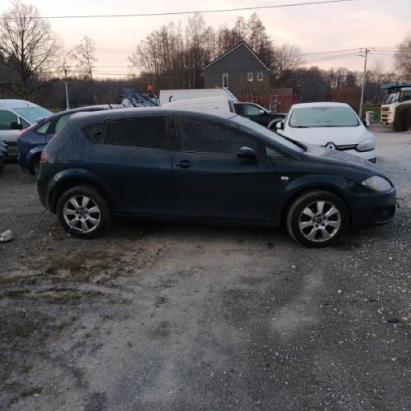 Porte arriere gauche SEAT LEON 2 Photo n°6