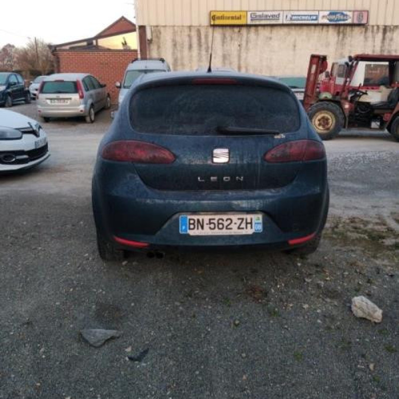 Porte arriere gauche SEAT LEON 2 Photo n°7