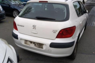 Capot PEUGEOT 307