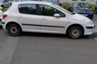 Porte arriere droit PEUGEOT 307