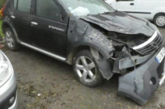 Arret de porte avant droit DACIA SANDERO 1