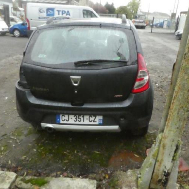 Arret de porte avant droit DACIA SANDERO 1 Photo n°7