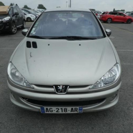 Porte arriere gauche PEUGEOT 206 Photo n°1