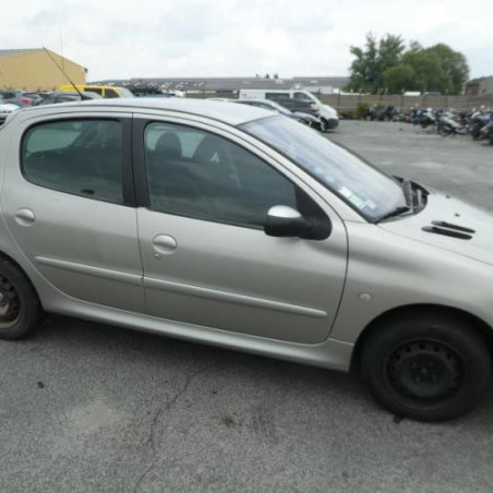 Porte arriere gauche PEUGEOT 206