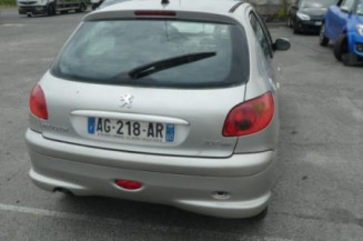 Porte arriere gauche PEUGEOT 206