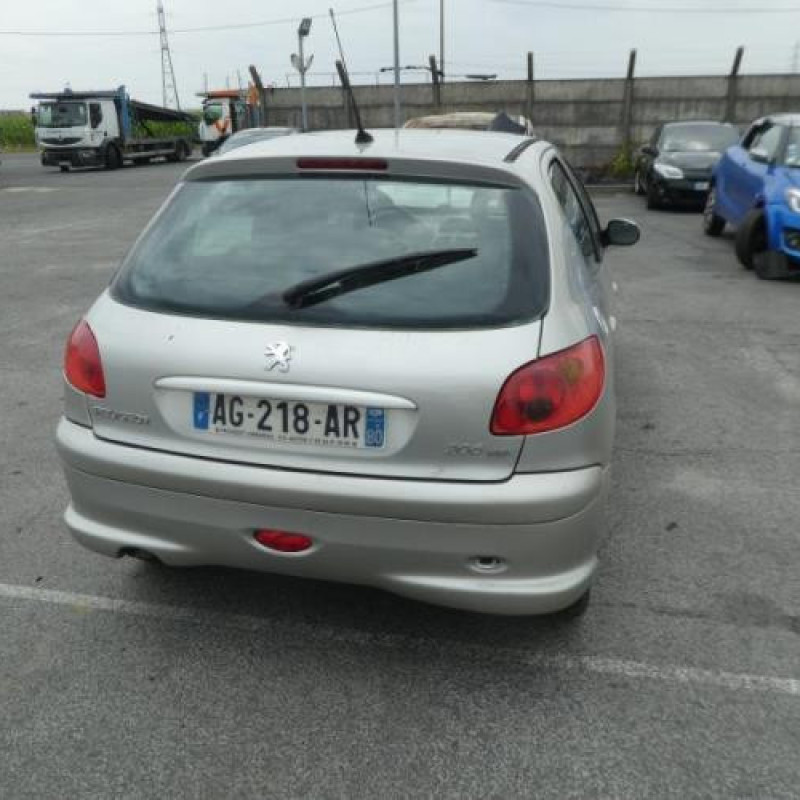 Porte arriere gauche PEUGEOT 206 Photo n°3