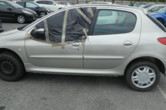 Porte arriere gauche PEUGEOT 206